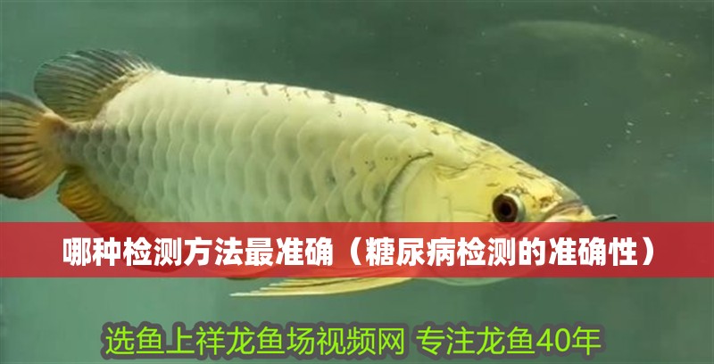 哪種檢測方法最準(zhǔn)確（糖尿病檢測的準(zhǔn)確性）