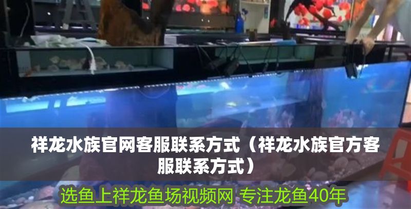 祥龍水族官網客服聯系方式（祥龍水族官方客服聯系方式）