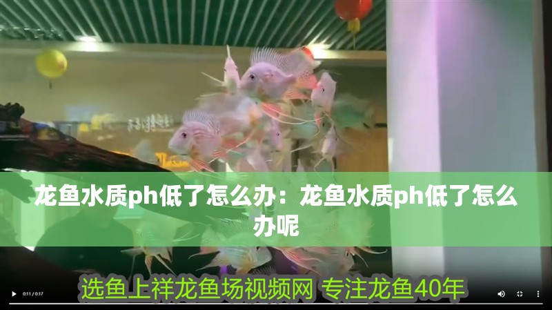 龍魚水質(zhì)ph低了怎么辦：龍魚水質(zhì)ph低了怎么辦呢
