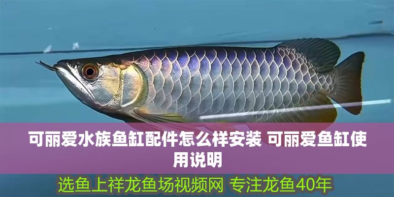 可麗愛水族魚缸配件怎么樣安裝 可麗愛魚缸使用說明