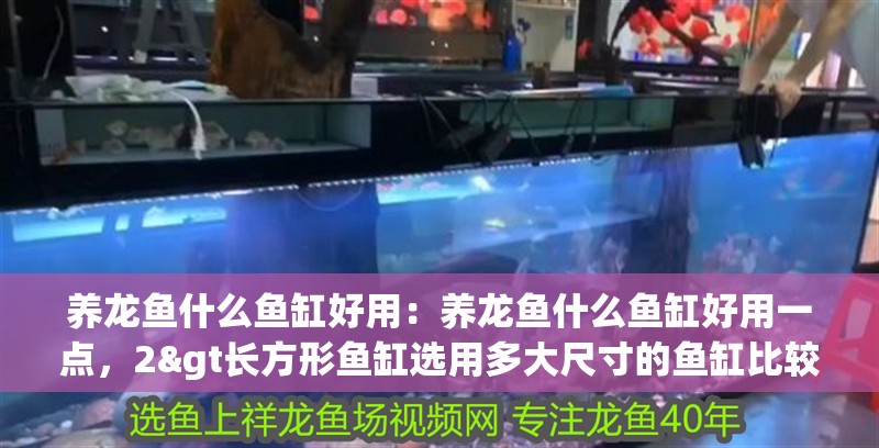 養龍魚什么魚缸好用：養龍魚什么魚缸好用一點，2&gt長方形魚缸選用多大尺寸的魚缸比較合適