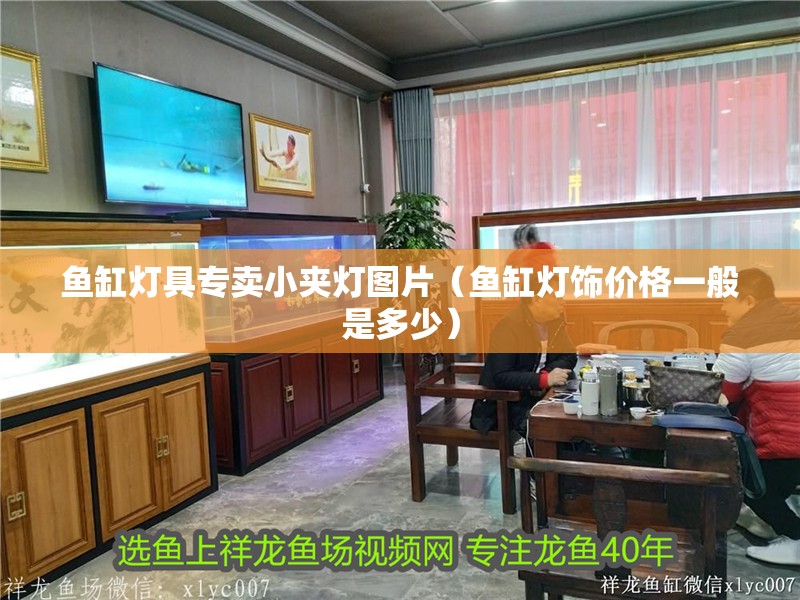 魚缸燈具專賣小夾燈圖片（魚缸燈飾價格一般是多少）