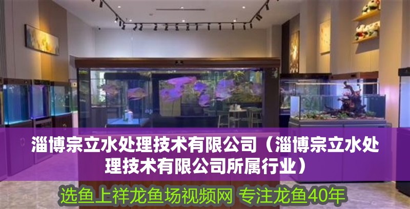 淄博宗立水處理技術有限公司（淄博宗立水處理技術有限公司所屬行業）