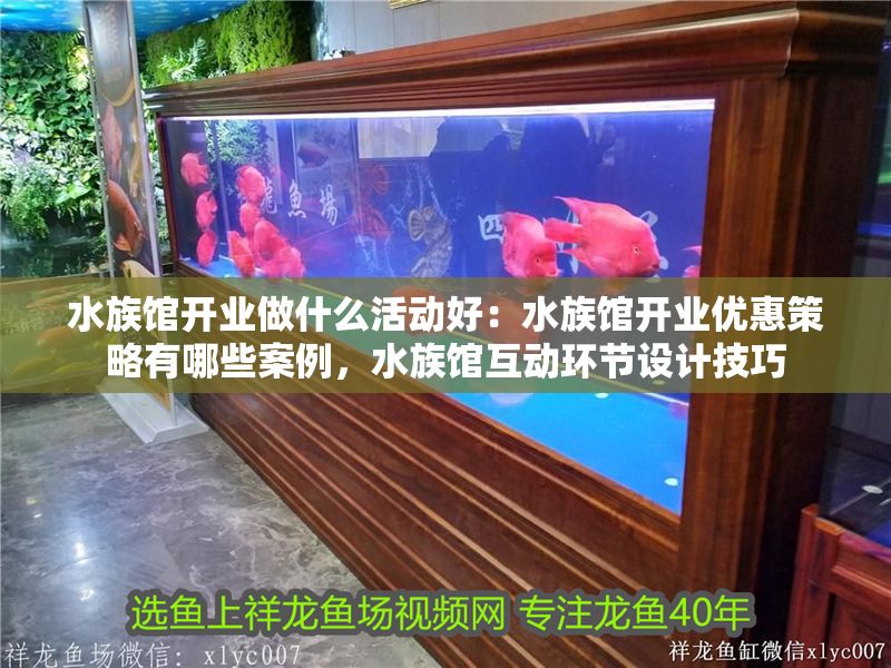 水族館開業做什么活動好：水族館開業優惠策略有哪些案例，水族館互動環節設計技巧