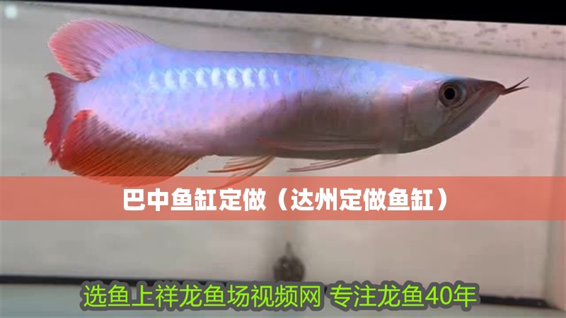 魚缸過濾器選購指南:自制魚缸過濾器魚缸上置過濾器對于養魚愛好者的必備知識 巴中魚缸定做(達州定做魚缸) 觀賞魚百科 巴中魚缸定做(達州定做魚缸) 巴中魚缸定做(達州定做魚缸) 觀賞魚百科