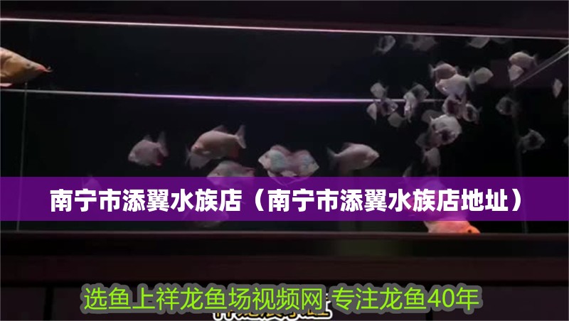南寧市添翼水族店（南寧市添翼水族店地址）