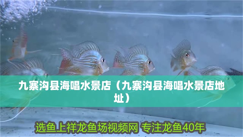 九寨溝縣海唱水景店（九寨溝縣海唱水景店地址）