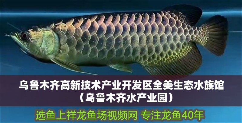 烏魯木齊高新技術(shù)產(chǎn)業(yè)開發(fā)區(qū)全美生態(tài)水族館（烏魯木齊水產(chǎn)業(yè)園）