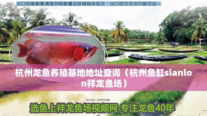 杭州龍魚養殖基地地址查詢（杭州魚缸sianlon祥龍魚場）