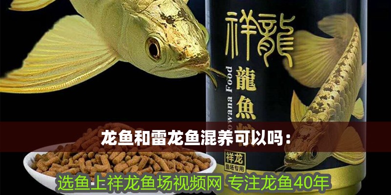 龍魚和雷龍魚混養可以嗎：