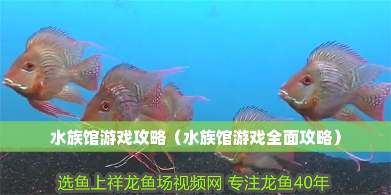 水族館游戲攻略（水族館游戲全面攻略）