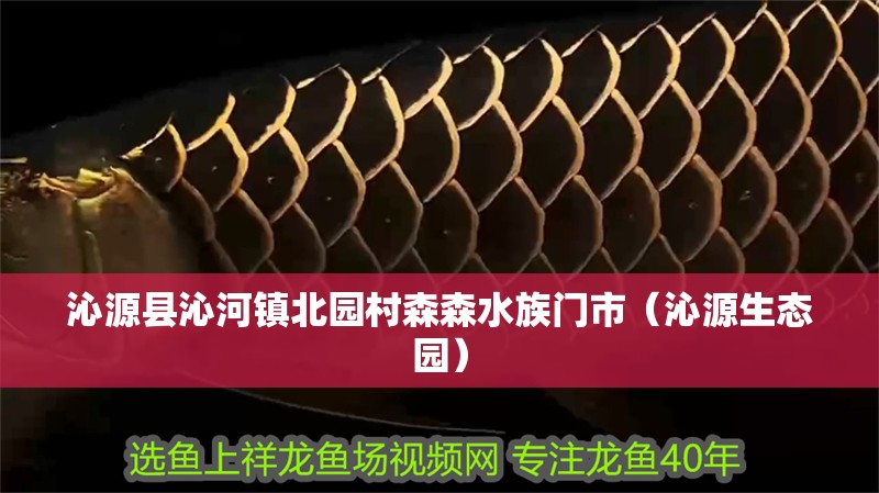 沁源縣沁河鎮北園村森森水族門市（沁源生態園）