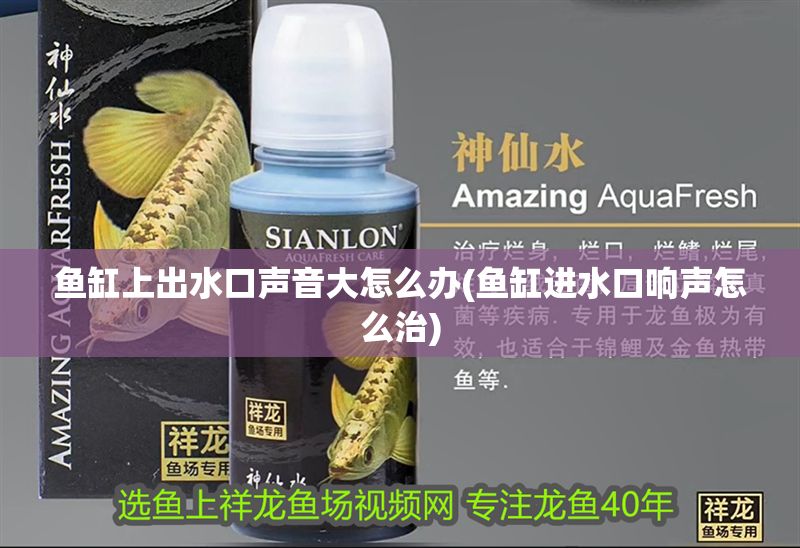 魚缸上出水口聲音大怎么辦(魚缸進(jìn)水口響聲怎么治)