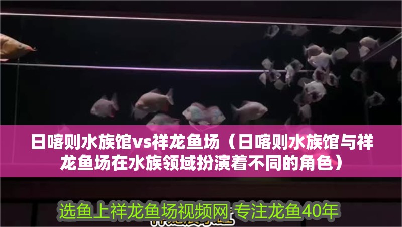 日喀則水族館vs祥龍魚場（日喀則水族館與祥龍魚場在水族領(lǐng)域扮演著不同的角色）