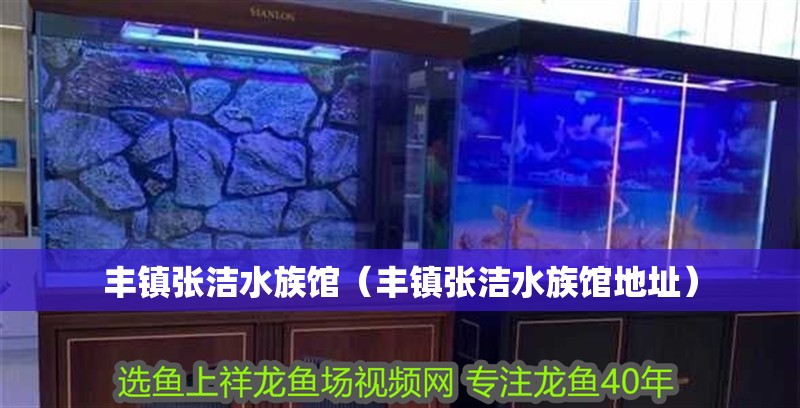豐鎮(zhèn)張潔水族館（豐鎮(zhèn)張潔水族館地址）