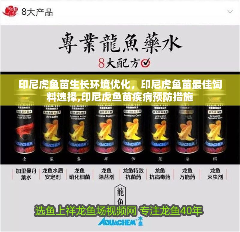 印尼虎魚苗生長環(huán)境優(yōu)化，印尼虎魚苗最佳飼料選擇,印尼虎魚苗疾病預防措施