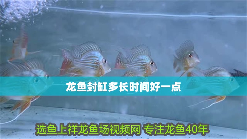 攀枝花市東區(qū)海源水族園藝（攀枝花市東區(qū)海源水族園藝場(chǎng)地址）
