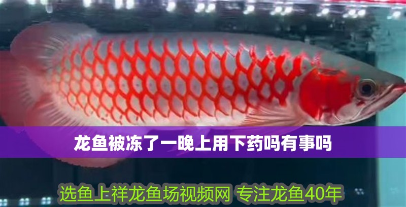 長治市城區佳佳水族館（長治市城區佳佳水族館電話）