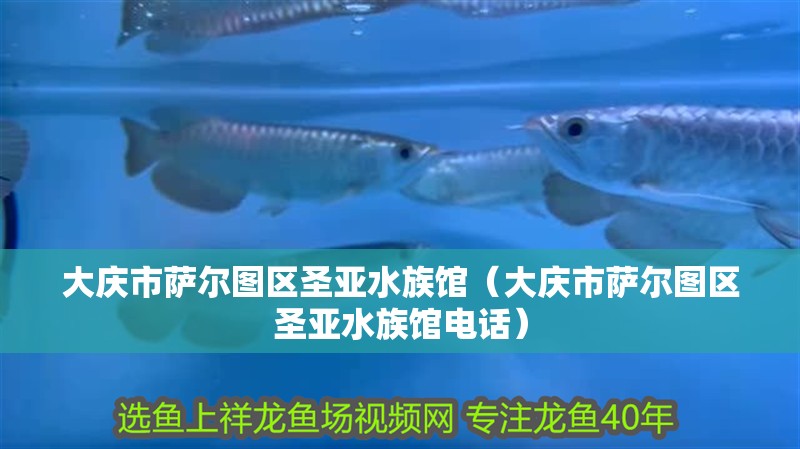 大慶市薩爾圖區(qū)圣亞水族館（大慶市薩爾圖區(qū)圣亞水族館電話）