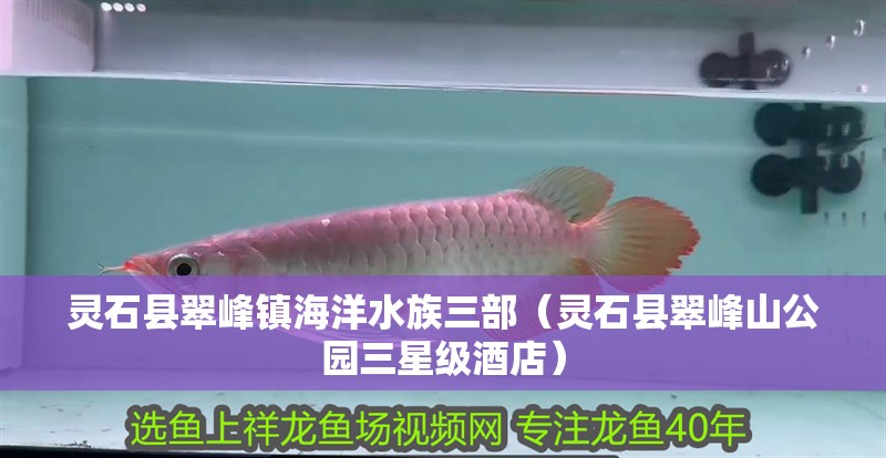 靈石縣翠峰鎮海洋水族三部（靈石縣翠峰山公園三星級酒店）