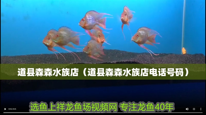 道縣森森水族店（道縣森森水族店電話號碼）