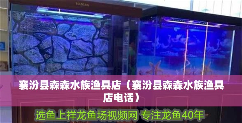襄汾縣森森水族漁具店（襄汾縣森森水族漁具店電話）