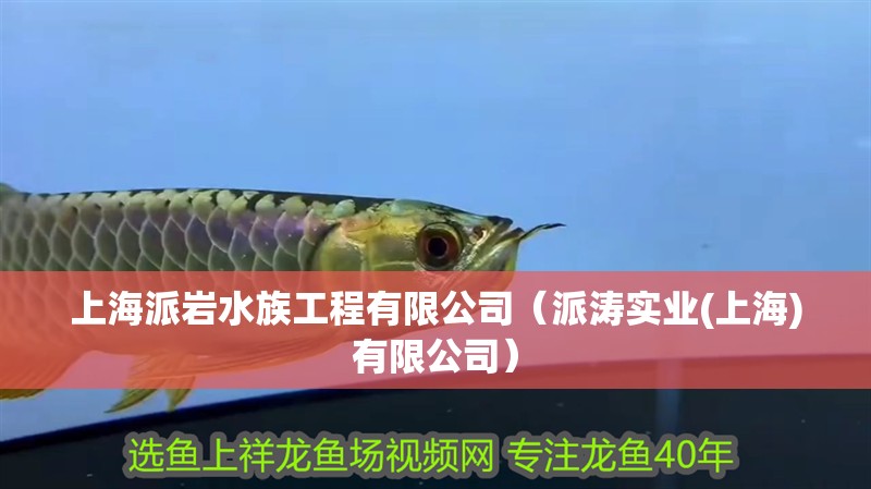 上海派巖水族工程有限公司（派濤實業(上海)有限公司）