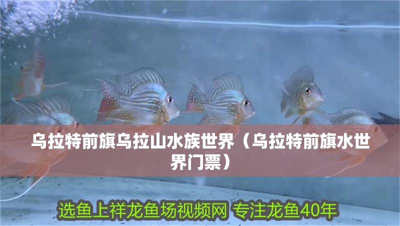 烏拉特前旗烏拉山水族世界（烏拉特前旗水世界門票）