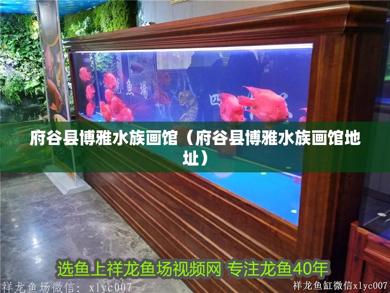 府谷縣博雅水族畫館（府谷縣博雅水族畫館地址）