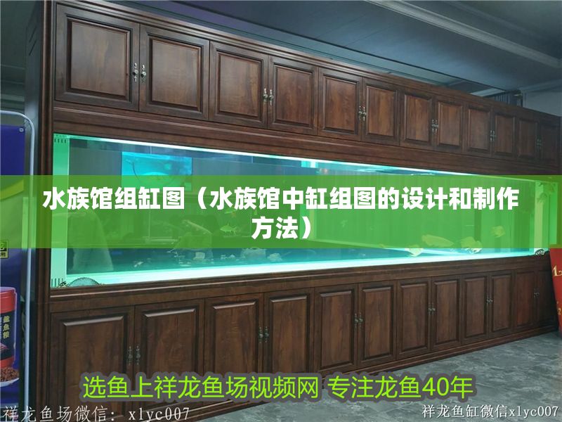 水族館組缸圖（水族館中缸組圖的設計和制作方法）