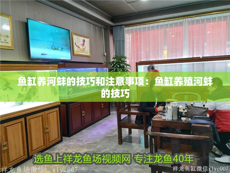 魚缸養河蚌的技巧和注意事項：魚缸養殖河蚌的技巧