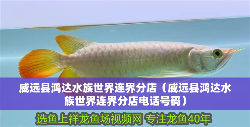 威遠縣鴻達水族世界連界分店（威遠縣鴻達水族世界連界分店電話號碼）