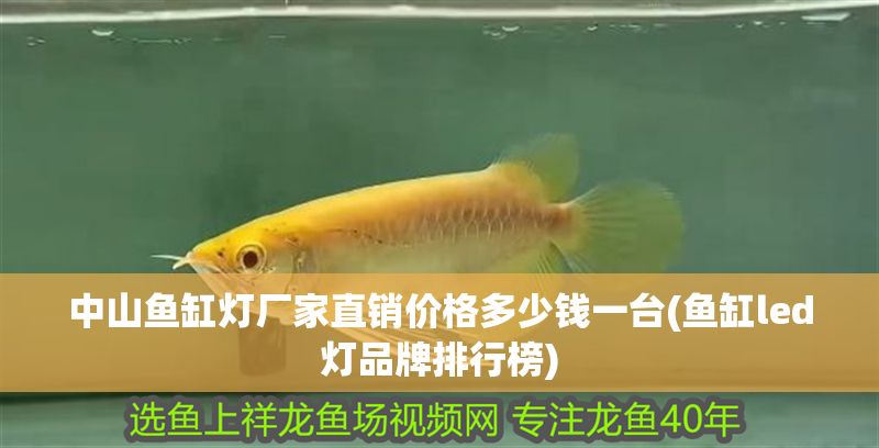 中山魚缸燈廠家直銷價格多少錢一臺(魚缸led燈品牌排行榜)