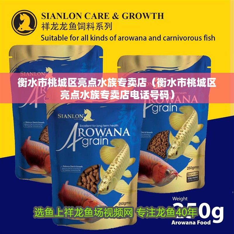衡水市桃城區亮點水族專賣店（衡水市桃城區亮點水族專賣店電話號碼）