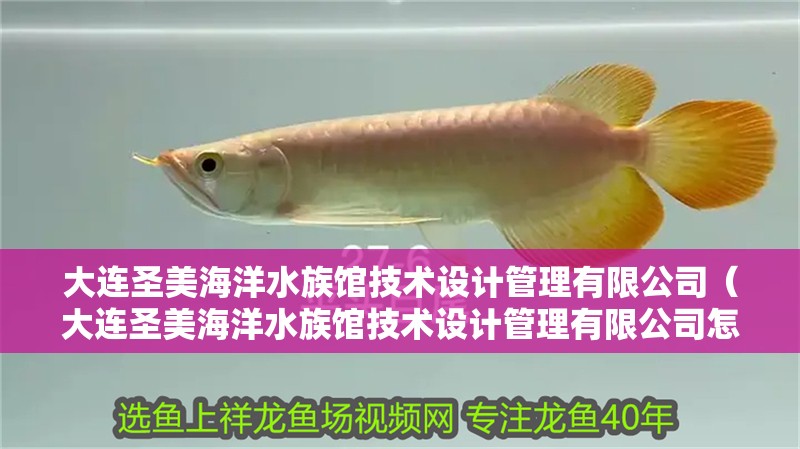 大連圣美海洋水族館技術設計管理有限公司（大連圣美海洋水族館技術設計管理有限公司怎么樣）