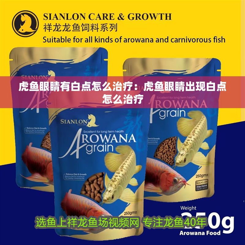 虎魚眼睛有白點怎么治療：虎魚眼睛出現白點怎么治療