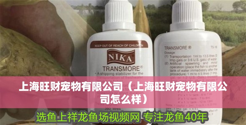 上海旺財(cái)寵物有限公司（上海旺財(cái)寵物有限公司怎么樣）