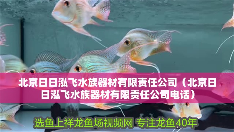 北京日日泓飛水族器材有限責任公司（北京日日泓飛水族器材有限責任公司電話）