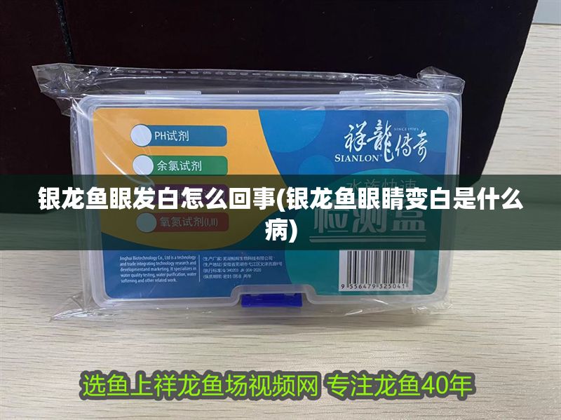 銀龍魚眼發白怎么回事(銀龍魚眼睛變白是什么病)