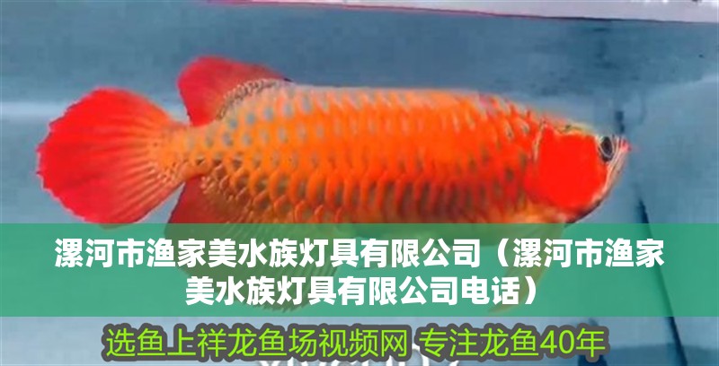 漯河市漁家美水族燈具有限公司（漯河市漁家美水族燈具有限公司電話）
