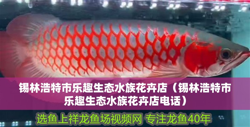 錫林浩特市樂趣生態水族花卉店（錫林浩特市樂趣生態水族花卉店電話）