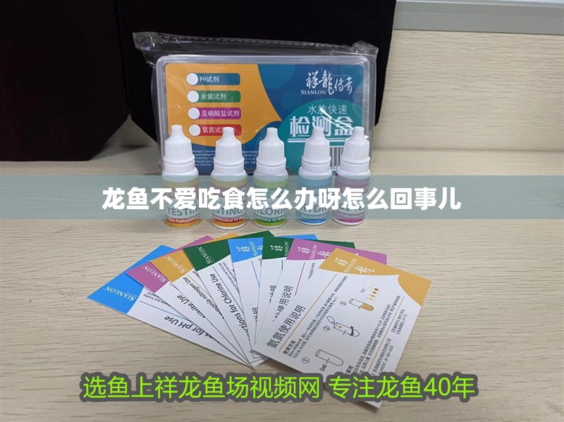 龍魚不愛吃食怎么辦呀怎么回事兒
