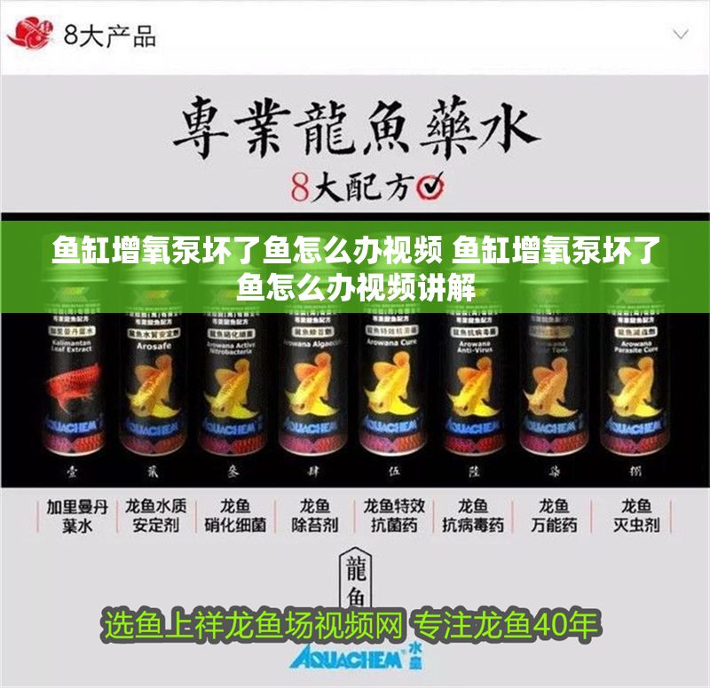 魚缸增氧泵壞了魚怎么辦視頻 魚缸增氧泵壞了魚怎么辦視頻講解