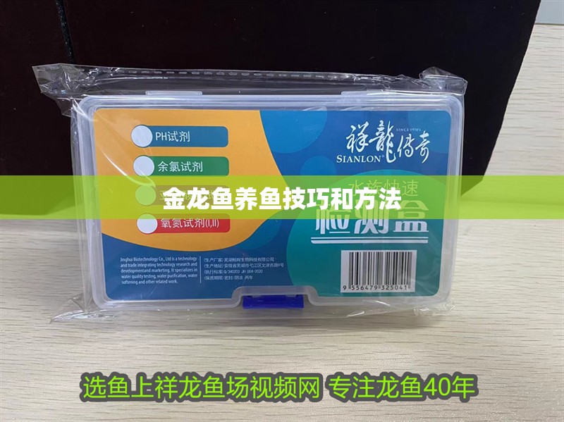 金龍魚養魚技巧和方法