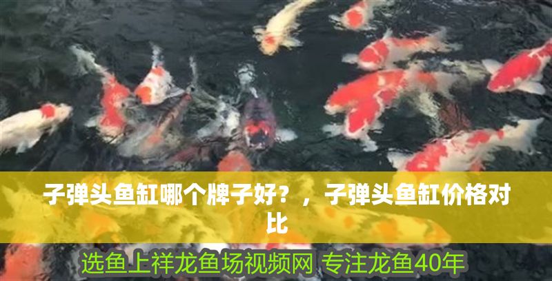 子彈頭魚缸哪個牌子好？，子彈頭魚缸價格對比