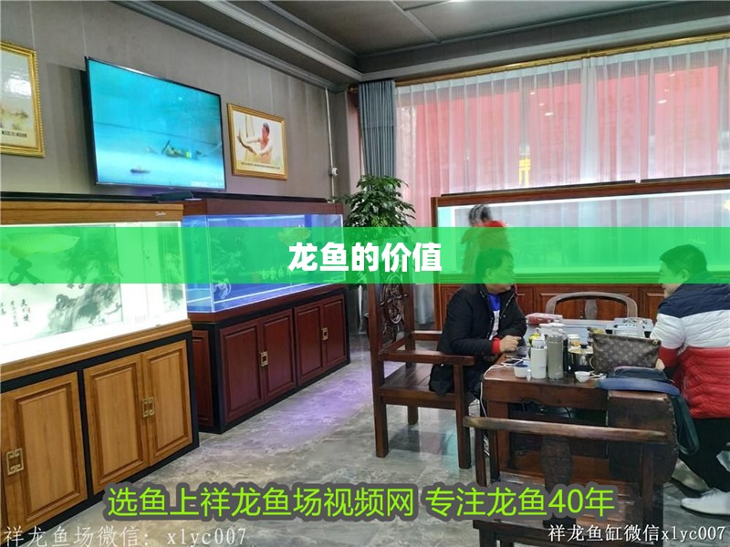 龍魚的價值
