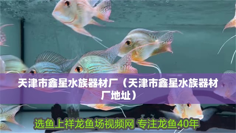 天津市鑫星水族器材廠（天津市鑫星水族器材廠地址）