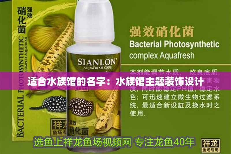 適合水族館的名字：水族館主題裝飾設計
