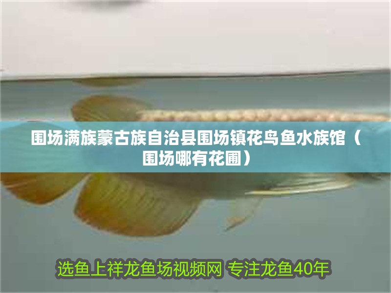 圍場滿族蒙古族自治縣圍場鎮花鳥魚水族館（圍場哪有花圃）