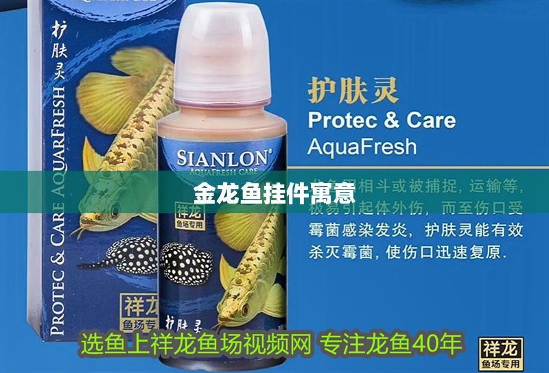 金龍魚(yú)掛件寓意 金龍魚(yú)掛件寓意 龍魚(yú)百科 第2張